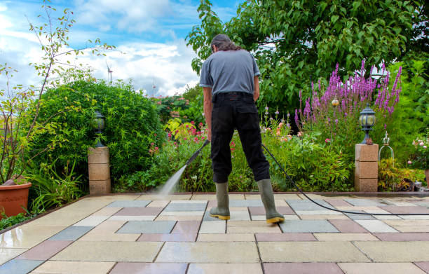 Best Brick and Stone Cleaning in Hudson, TX